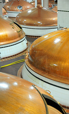 “坩埚包菜” 从实验室到餐桌的创意酒精饮料