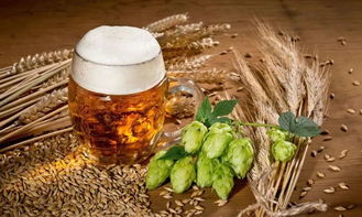 奇葩的德国人 酒精饮料中的奇闻趣事